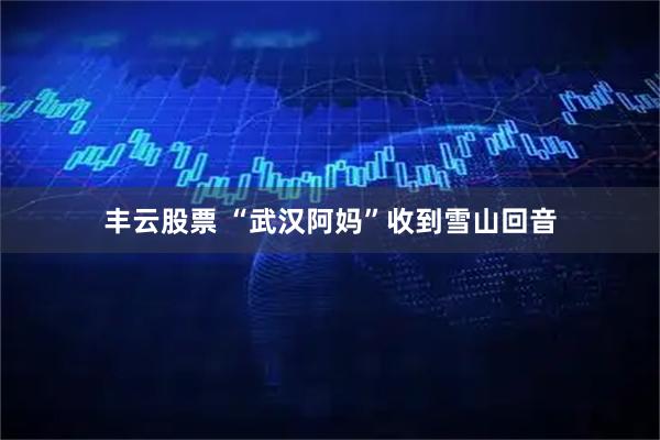 丰云股票 “武汉阿妈”收到雪山回音