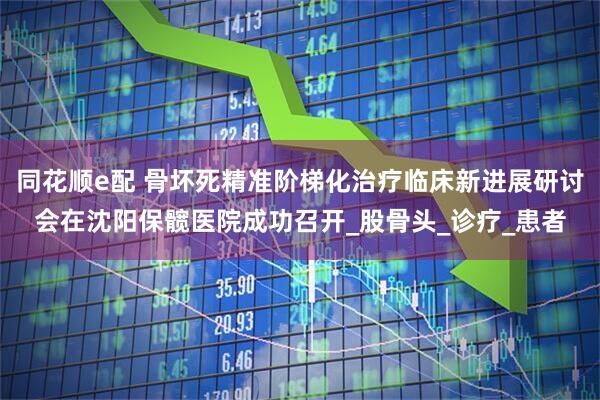同花顺e配 骨坏死精准阶梯化治疗临床新进展研讨会在沈阳保髋医院成功召开_股骨头_诊疗_患者