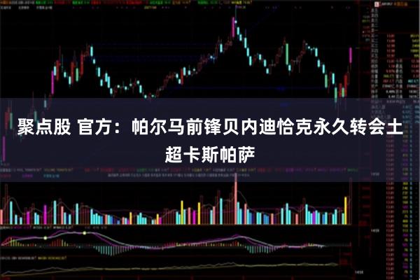 聚点股 官方：帕尔马前锋贝内迪恰克永久转会土超卡斯帕萨